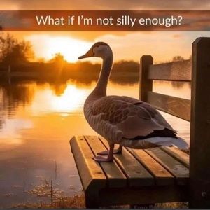 Meet your Posher, Nolan